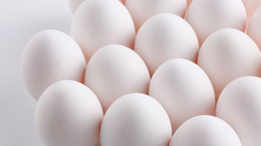 საქართველოში კვერცხის იმპორტი გაზრდილია