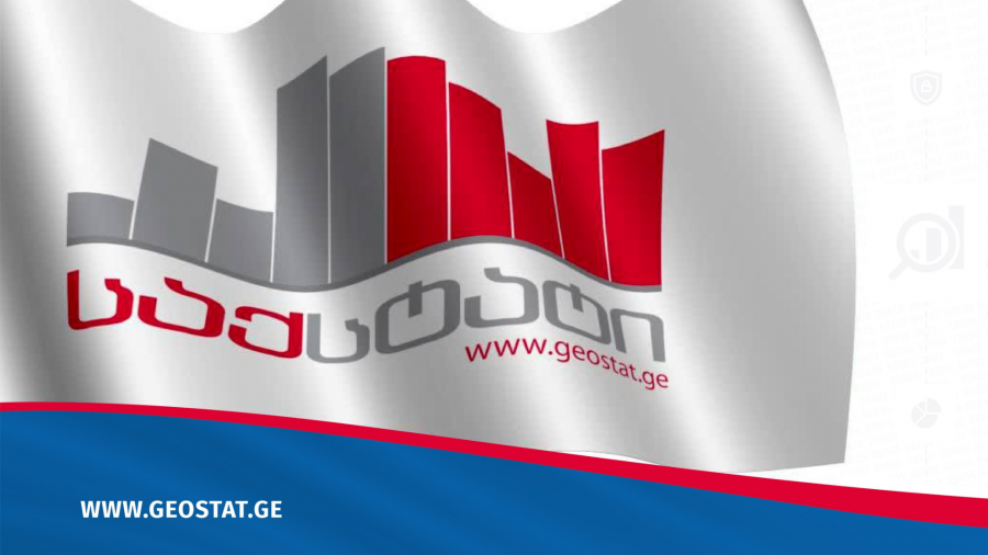 120 000-დან 1 მლნ 270 ათას მომხმარებლამდე - როგორი იყო საქსტატისთვის 2025 წელი