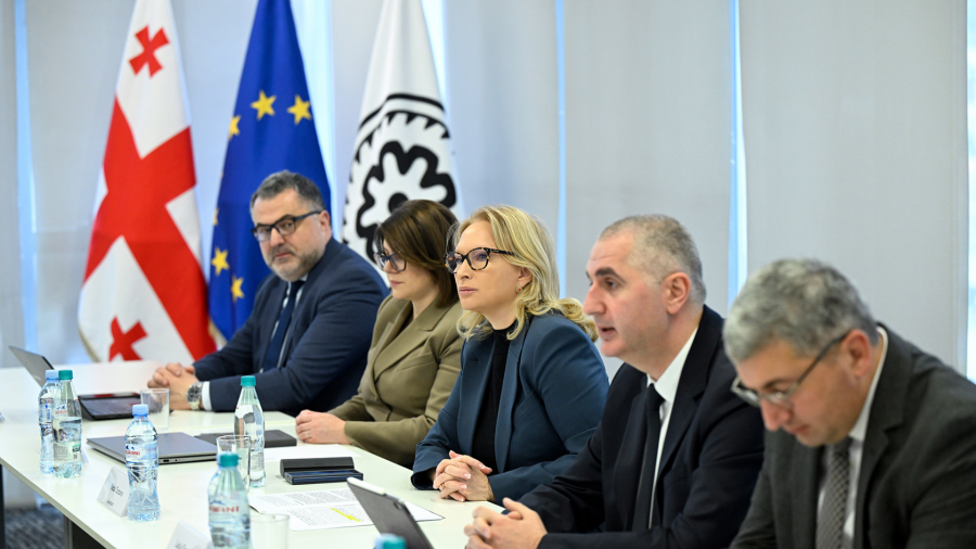 ნათია თურნავა და ლაშა ხუციშვილი ამერიკელ და ბრიტანელ ინვესტორთა დელეგაციას შეხვდნენ