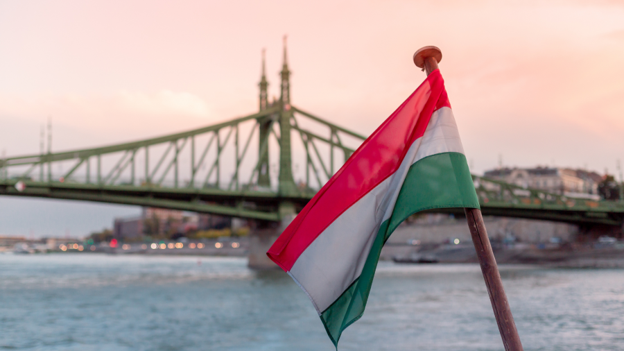 როგორია საქართველოსა და უნგრეთის მიმდინარე სავაჭრო დინამიკა - TOP 5 პროდუქტი