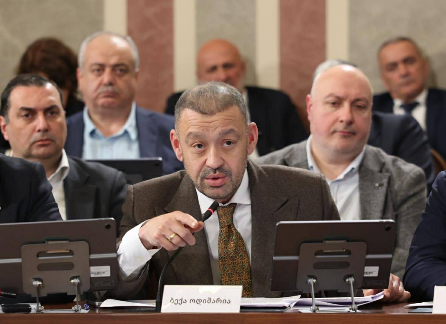 ჩვენ, როგორც დედაქალაქის მოსახლეობის უმრავლესობის მიერ არჩეულმა დეპუტატებმა, იქნებ ვიფიქროთ იმაზე, როგორ უკვდავვყოთ მისი სახელი - ბექა ოდიშარია