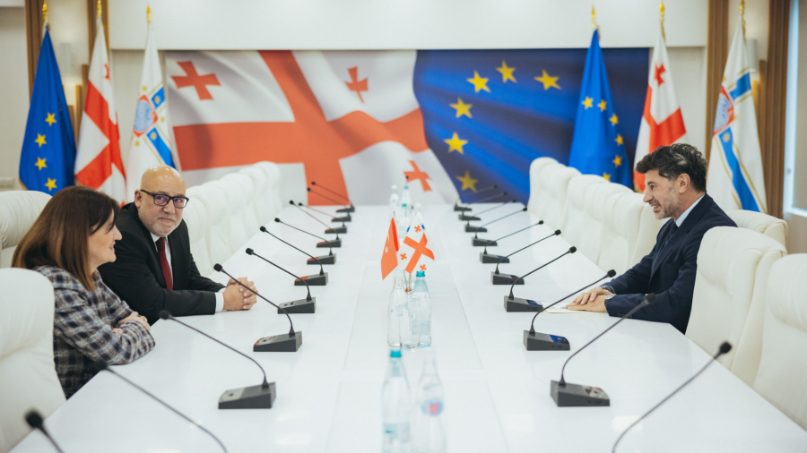 კახა კალაძე თურქეთისა და ბრაზილიის ელჩებს შეხვდა