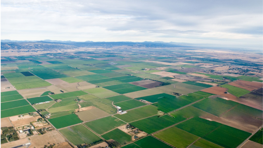 საქართველოში მიწის რესურსების მონაცემთა ერთიანი ბაზა 20-წლიანი წყვეტის შემდეგ შეიქმნა