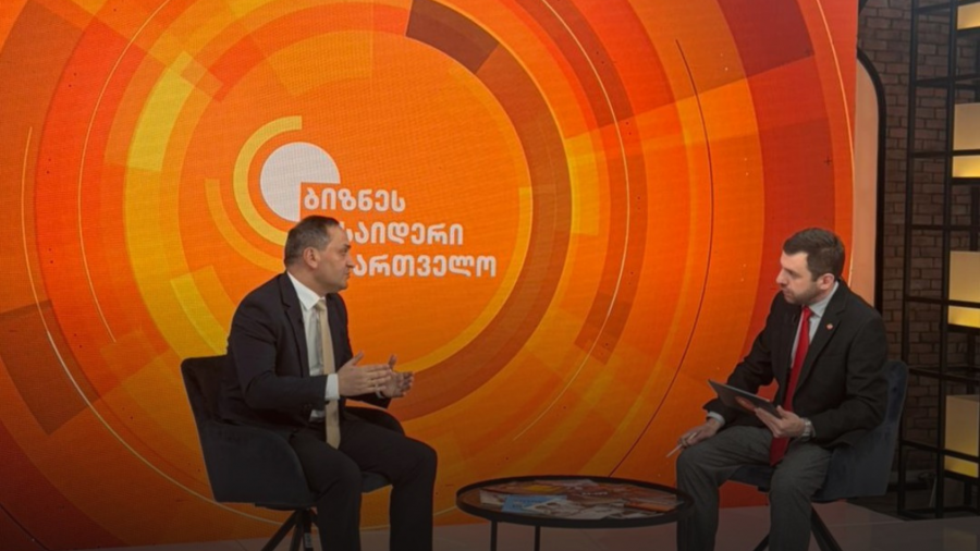 განათლების სისტემას ერთიანი, კოდექსის დონის კანონი ექნება - ზვიად გაბისონია