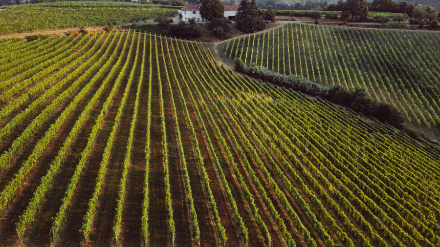 სოფლის მეურნეობის ინდექსი ყოველწლიურად განახლდება - ლაშა ქავთარაძე