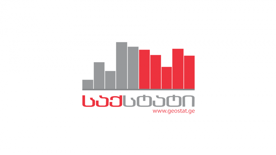 მიმდინარე წელს საქსტატი რამდენიმე ანალიტიკურ პორტალს ჩაუშვებს