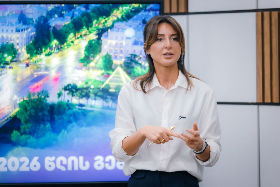 ბოლო პერიოდში ძალიან გამკაცრებული გვაქვს მიდგომები ქალაქის ეკოლოგიასთან მიმართებით - ნინო ლაცაბიძე