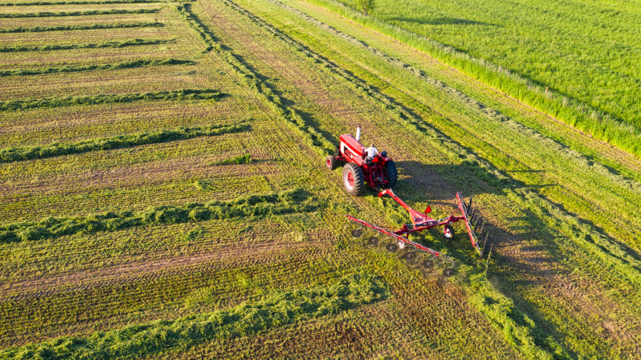 სოფლის მეურნეობის სექტორის ერთ–ერთ მთავარ გამოწვევად რჩება ცოდნის და ტექნოლოგიების დაბალი დონე, მიწების ფრაგმენტაცია - რა წერია Galt & Taggart-ის კვლევაში