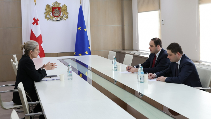 საქართველოს მთავრობის ადმინისტრაციის უფროსი ლევან ჟორჟოლიანი წითელი ჯვრის საერთაშორისო კომიტეტის (ICRC) დელეგაციის ხელმძღვანელ ანნ მონტავონს შეხვდა