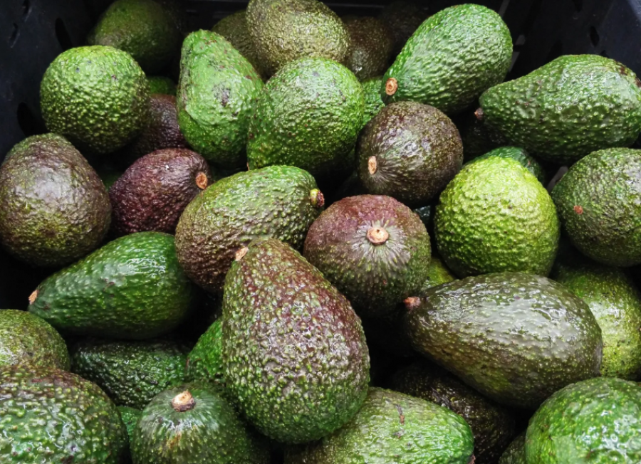 საქართველოში ავოკადოს იმპორტის 48% თურქეთზე მოდის