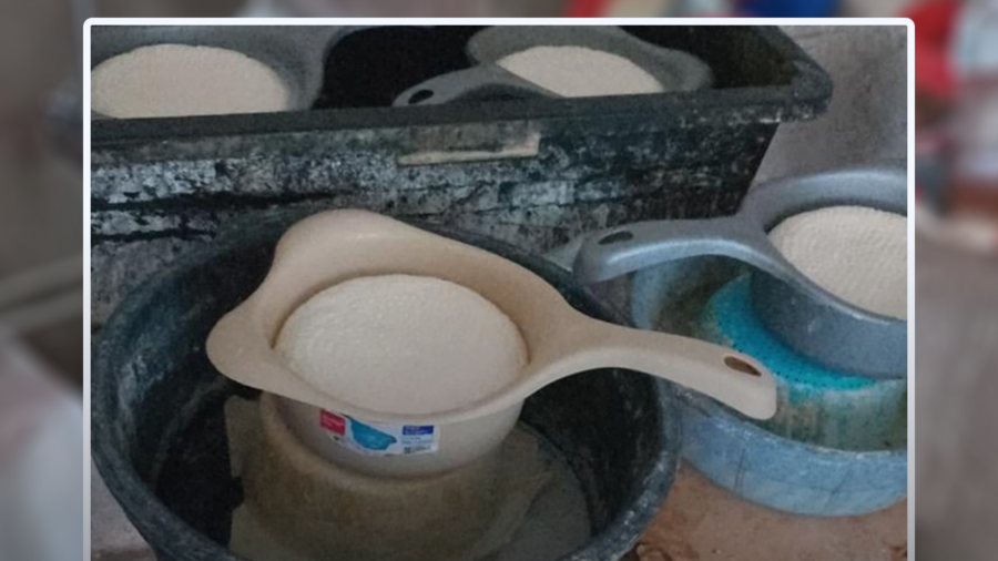 სურსათის ეროვნული სააგენტო რძის გადამამუშავებელი არალეგალური საწარმოების გამოვლენას მთელი ქვეყნის მასშტაბით აქტიურად განაგრძობს