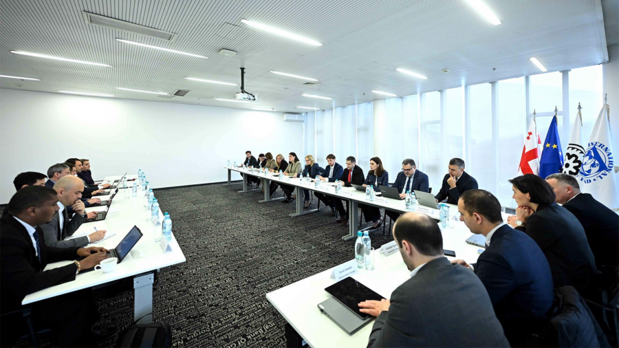 ნათია თურნავა საერთაშორისო სავალუტო ფონდის მისიას შეხვდა