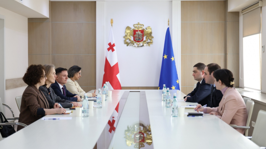 საქართველოს მთავრობის ადმინისტრაციის უფროსი UNFPA-ს აღმოსავლეთ ევროპისა და ცენტრალური აზიის რეგიონულ დირექტორს შეხვდა