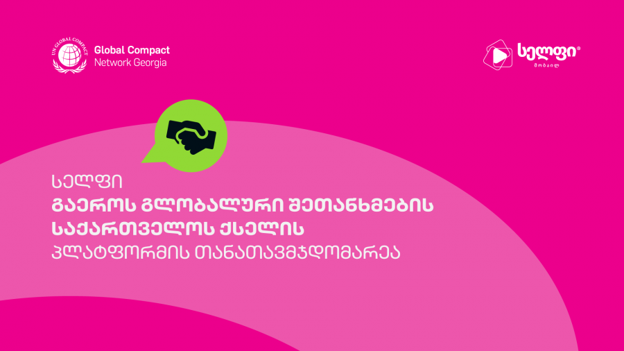 სელფი მობაილი შრომისა და ღირსეული სამუშაოს სამოქმედო პლატფორმის თანათავმჯდომარეა