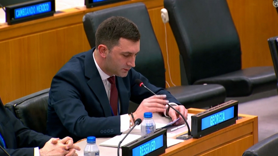 იუსტიციის სახლის თავმჯდომარე ვახტანგ ჟვანია გაერო-ს საჯარო ადმინისტრირების ექსპერტთა კომიტეტის 25-ე სესიაზე მოხსენებით წარდგა