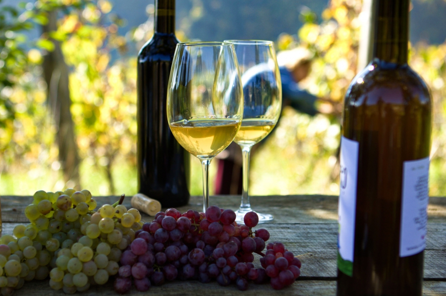 2026 წლის პირველ კვარტალში ღვინის ხარისხის კონტროლის მაჩვენებლები გაუმჯობესდა - ღვინის ეროვნული სააგენტო