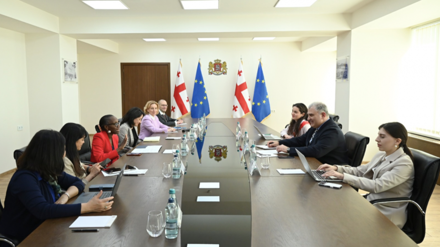 ჯანდაცვის მინისტრი მსოფლიო ბანკის წარმომადგენლებს შეხვდა