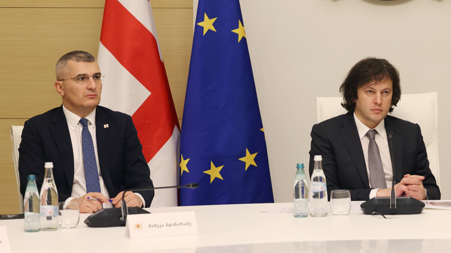 მამუკა მდინარაძე სახელმწიფო მინისტრის თანამდებობას დაიკავებს