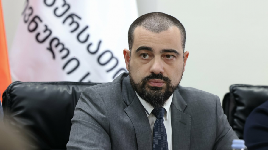 გარემოს დაცვისა და სოფლის მეურნეობის მინისტრის მოადგილემ ძაღლების მიკედლების პროცედურებზე გააკეთა განმარტება