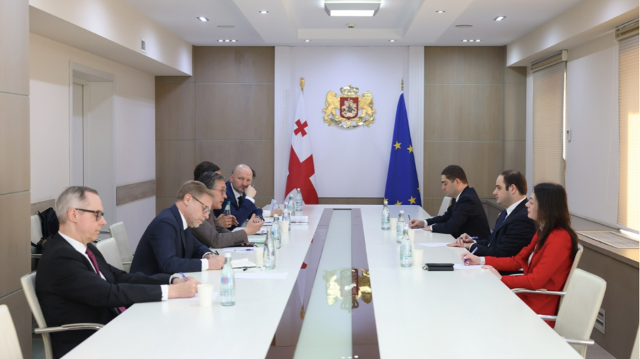 საქართველოს მთავრობის ადმინისტრაციის უფროსი ლევან ჟორჟოლიანი „ვაიმარის სამკუთხედის" ქვეყნების საგარეო საქმეთა სამინისტროების დელეგაციას შეხვდა