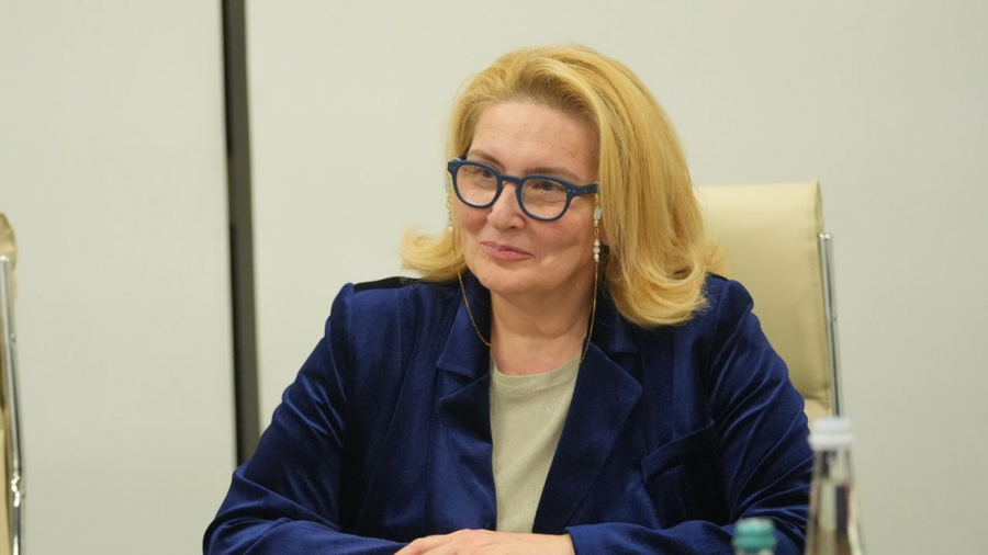 საქართველოს მთავრობას დაგეგმილი აქვს, უახლოესი 10 წლის განმავლობაში ქვეყნის დადგმული სიმძლავრე 11500 მეგავატი გახდეს, რაც ძალიან მნიშვნელოვანი წინაპირობა იმისა, რომ ქვეყანა გახდეს ენერგოდამოუკიდებელი და ელექტროენერგიის თვალსაზრისით იმპორტზე დამოკიდებულება გავანულოთ - ინგა ფხალაძე