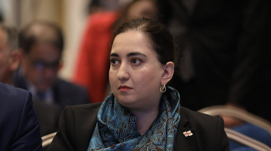 ფინანსთა მინისტრის მოადგილემ ეკატერინე გუნცაძემ საერთაშორისო სავალუტო ფონდის მირ ორგანიზებულ პანელურ დისკუსიაში მიიღო მონაწილეობა