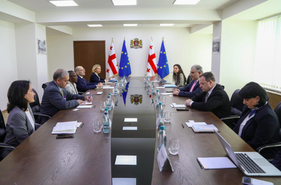 მიხეილ სარჯველაძე მსოფლიო ბანკის რეგიონულ დირექტორ როლანდ პრაისს შეხვდა