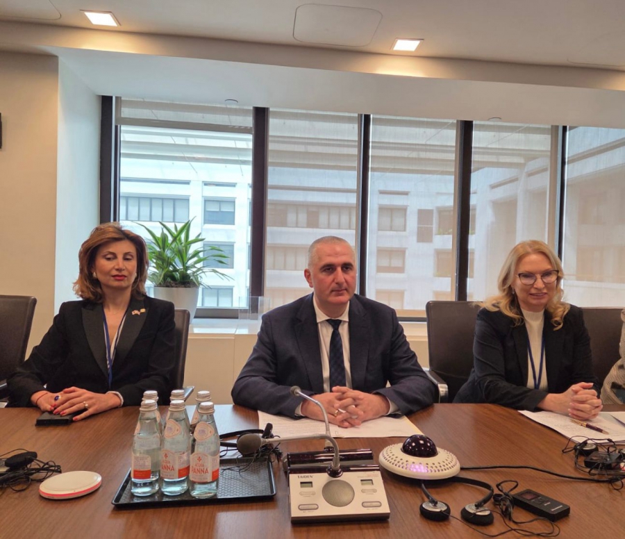 ფინანსთა მინისტრი ლაშა ხუციშვილი და ეროვნული ბანკის პრეზიდენტი ნათია თურნავა საერთაშორისო სავალუტო ფონდის მმართველი დირექტორის მოადგილეს ბო ლის შეხვდნენ