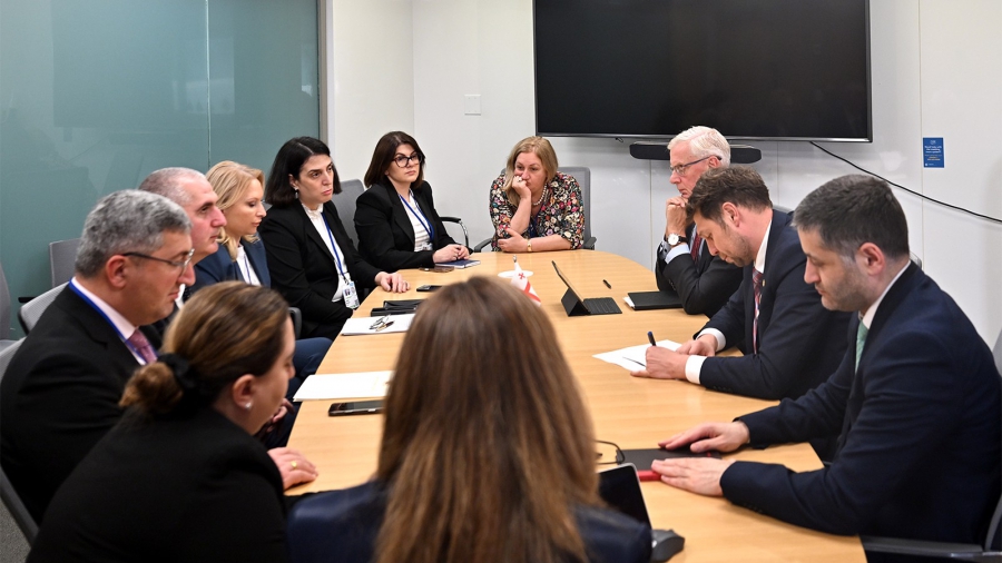 ნათია თურნავა და ლაშა ხუციშვილი სსფ-ის აღმასრულებელ დირექტორს იერუნ კლიკსა და ალტერნატიულ დირექტორს მარნიქს ვან რეის შეხვდნენ