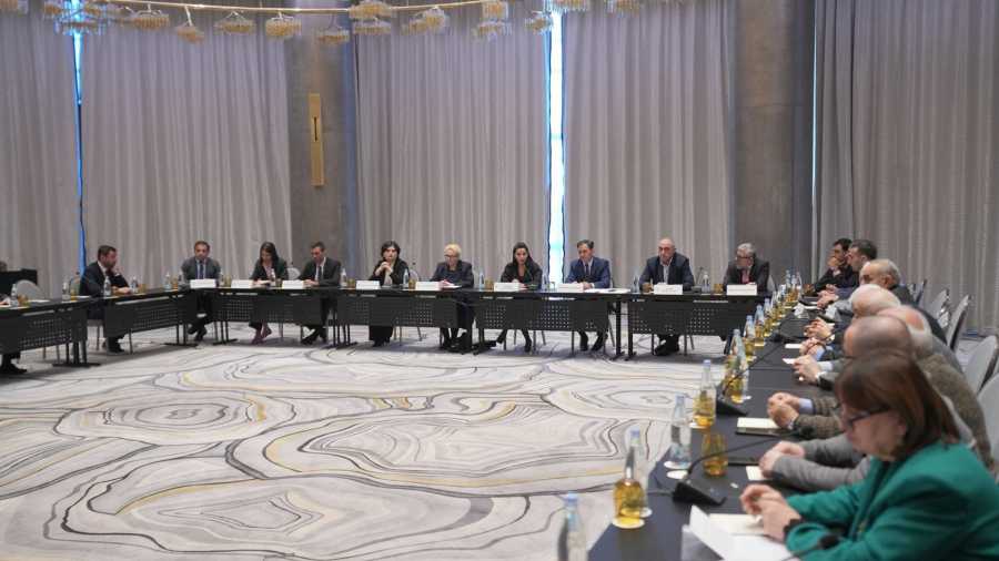 მარიამ ქვრივიშვილმა ენერგეტიკის დარგის მეცნიერებთან და ექსპერტებთან სექტორის განვითარების გეგმა განიხილა