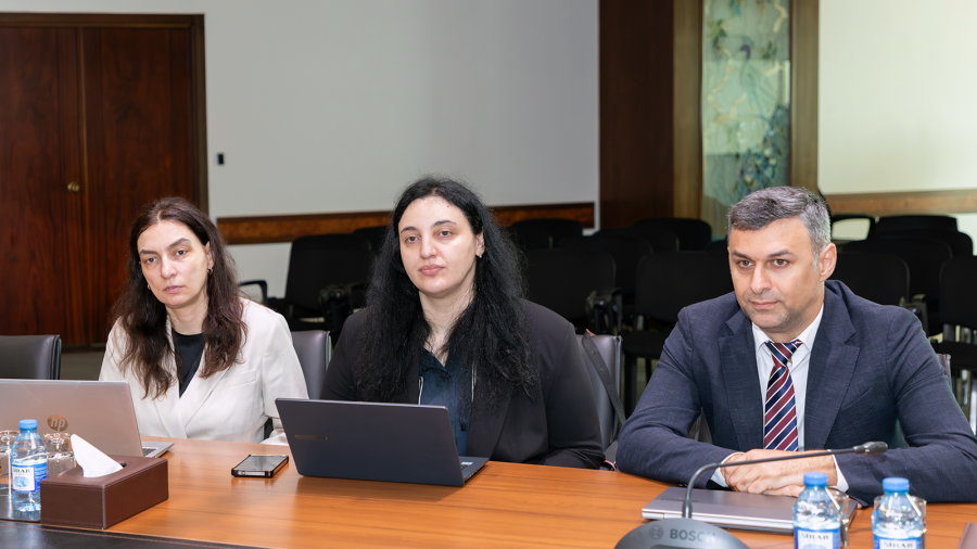 საქართველოს ეროვნული ბანკის წარმომადგენლებმა აზერბაიჯანელ კოლეგებს გამოცდილება გაუზიარეს