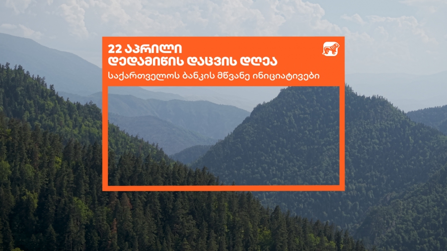 საქართველოს ბანკი დედამიწის დღეს მწვანე ინიციატივებს აჯამებს