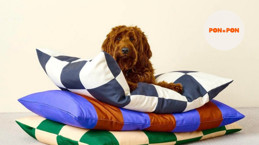 Ponpon განვითარებას აგრძელებს - ბრენდმა ოთხფეხა მეგობრებისთვის საწოლების ახალი ხაზი გამოუშვა