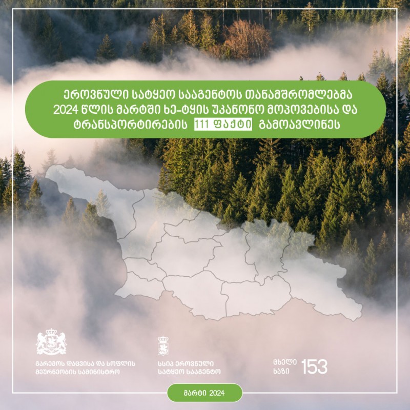 სსიპ ეროვნული სატყეო სააგენტოს თანამშრომლებმა მიმდინარე  წლის მარტის თვეში ხე-ტყის უკანონო მოპოვებისა და ტრანსპორტირების 111 ფაქტი გამოავლინეს