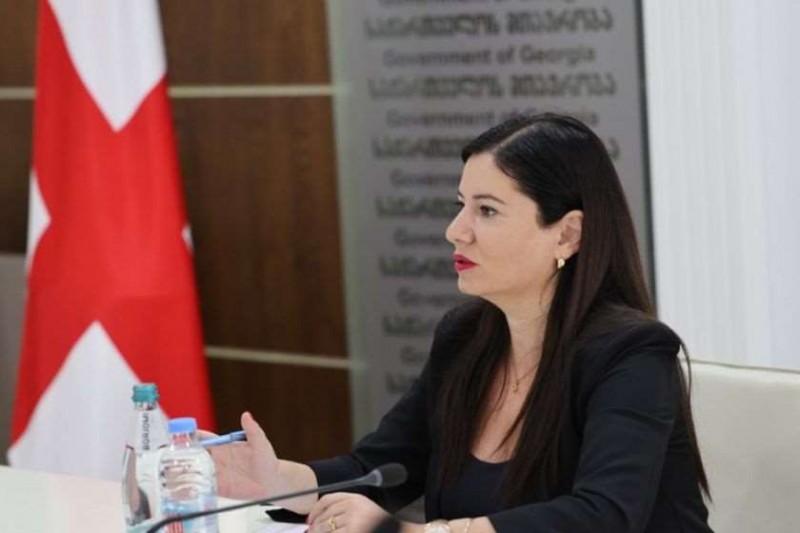 პრემიერის მგზავრობის ხარჯი, სახელმწიფო ბიუჯეტიდან არ გაწეულა - ნინო გიორგობიანი