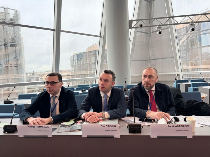 თბილისის საკრებულოს დელეგაციამ ევროპის საბჭოს ადგილობრივ და რეგიონულ ხელისუფლებათა კონგრესის ბიუროს წერილით მიმართა