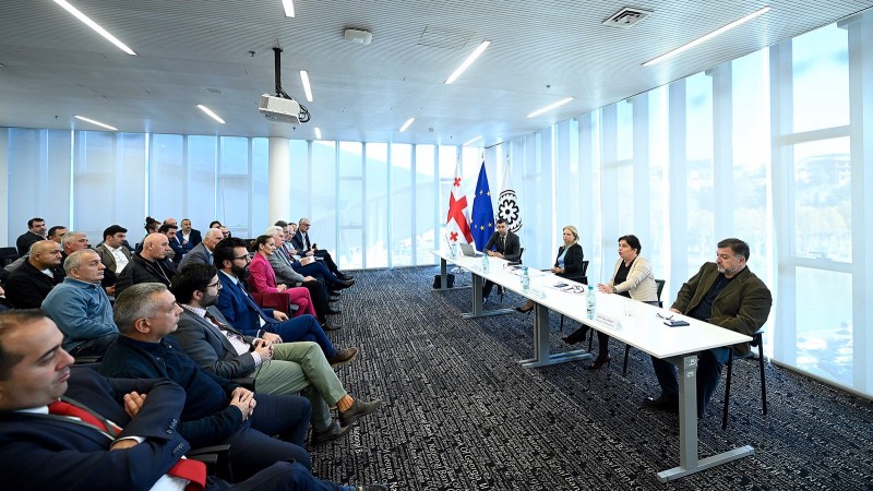 ნათია თურნავა მიკროსაფინანსო სექტორის წარმომადგენლებს შეხვდა