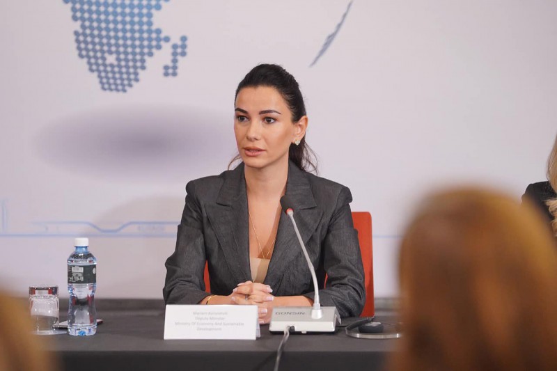 პარაპლანით ფრენების რეგულირება საერთაშორისო პრაქტიკისა და მოთხოვნების გათვალისწინებით მომზადებული  კანონმდებლობით მოხდება - მარიამ ქვრივიშვილი