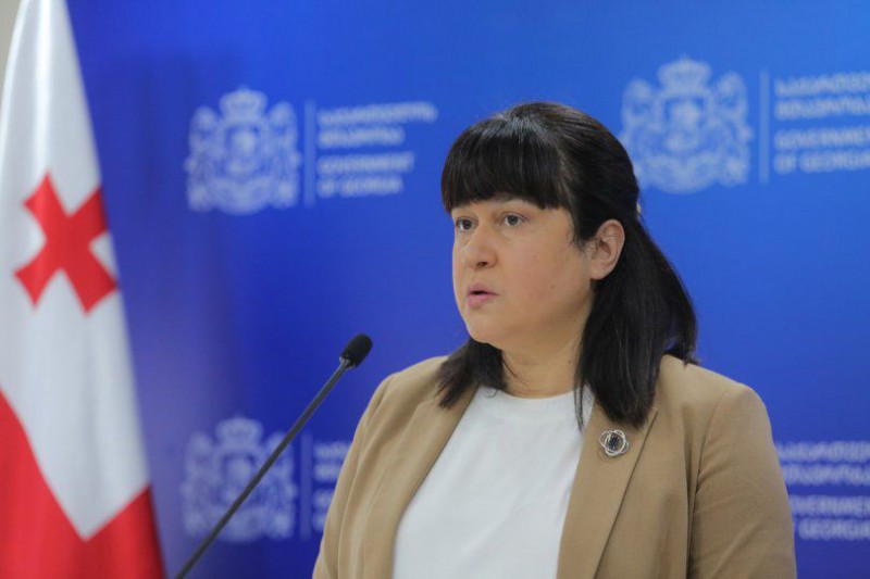 წინასწარი შეტყობინების გარეშე, კლინიკების შემოწმება აპრობირებული და ფართო პრაქტიკაა - თამარ გაბუნია