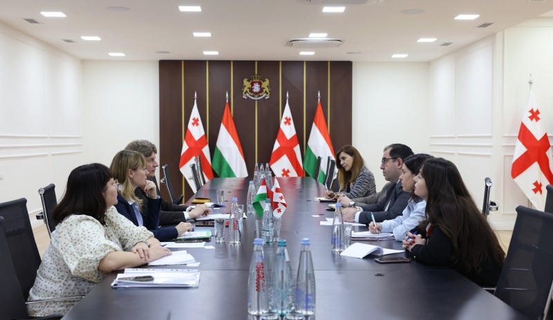 თენგიზ ნასარიძე ევროკავშირის პოლიტიკის საკითხებში სახელმწიფო მდივნის მოადგილე ბალაზ მოლნარს შეხვდა