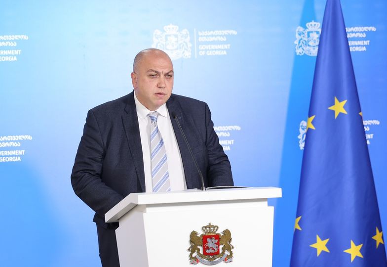 შოვში 86 ერთეული მძიმე ტექნიკა ჩართულია საძიებო სამუშაოებში 8 პრიორიტეტულ მდებარეობაზე - ირაკლი ქარსელაძე