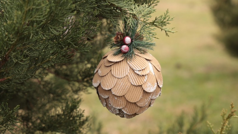 წინასაახალწლოდ წიწვოვანი ხე-მცენარეების მოპოვებაზე, ტრანსპორტირებასა და რეალიზაციაზე კონტროლი მკაცრდება