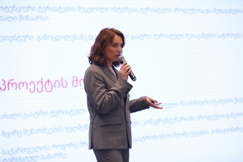 მაია ომიაძემ კერძო სექტორის წარმომადგენლებს ტურიზმის ეროვნული ადმინისტრაციის ახალი პროექტები გააცნო