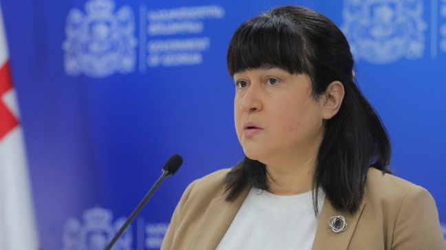 საზღვარგარეთ ბავშვების დიაგნოსტიკისა და მკურნალობის ბიუჯეტი უკვე დამტკიცებულია - თამარ გაბუნია