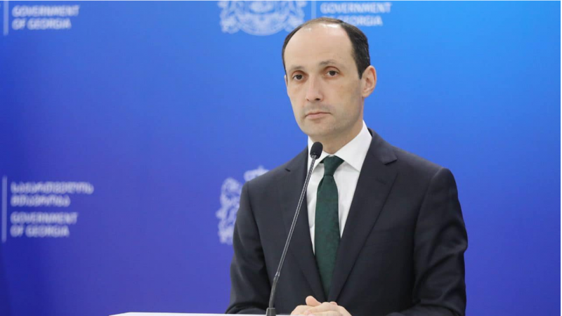 ქვეყანას დღეს რესურსების პრობლემა არ გააჩნია, მაგრამ სტიქიასთან სამწუხაროდ, უძლურები ვართ - ლევან დავითაშვილი