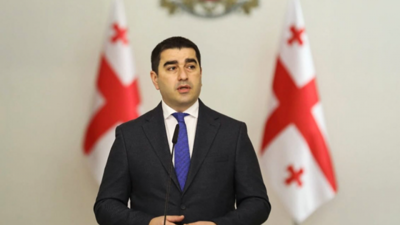 იმედია, საკონსტიტუციო სასამართლო დაადასტურებს კონსტიტუციის დარღვევას, ეს იქნება ოფიციალური განაჩენი, რომელსაც საქართველოს პრეზიდენტი ვერსად გაექცევა - შალვა პაპუაშვილი