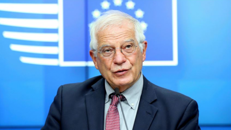 როდესაც საქართველოში ვიყავი ჩამოსული, ძალიან გამაოცა ევროპული დროშების რაოდენობამ, თბილისის ქუჩები სავსე იყო - ჯოზეფ ბორელი