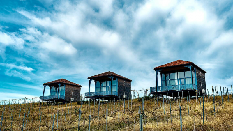 „შატო ვარციხეში“ დახურული აუზი, საკონფერენციო დარბაზი და საჯინიბო გაიხსნება - ინვესტიცია ₾500 ათასია