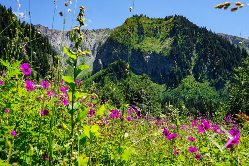 ყოველწლიურად სხვადასხვა ლოკაციაზე 