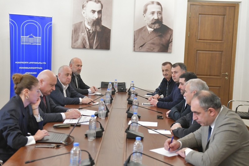 რეგიონული პოლიტიკისა და თვითმმართველობის კომიტეტში სამუშაო შეხვედრა გაიმართა